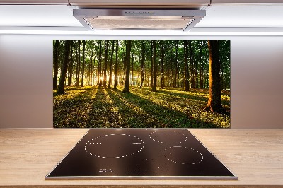 Küchen wandpaneel Sonnenstrahlen