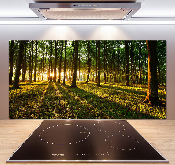 Küchen wandpaneel Sonnenstrahlen