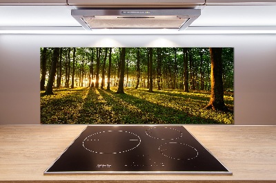 Küchen wandpaneel Sonnenstrahlen