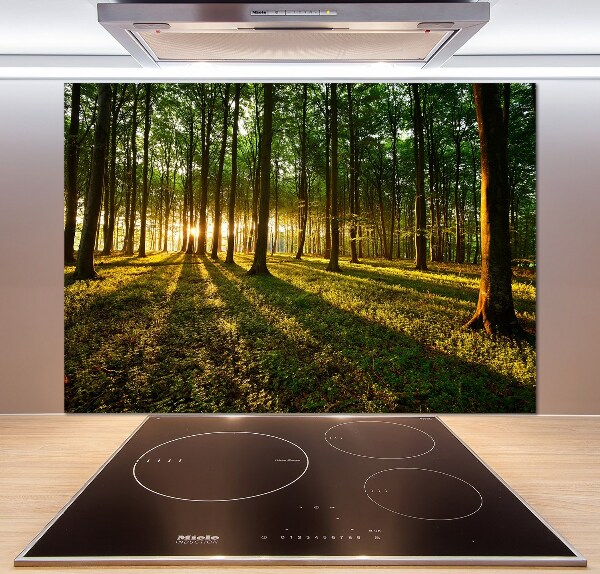 Küchen wandpaneel Sonnenstrahlen