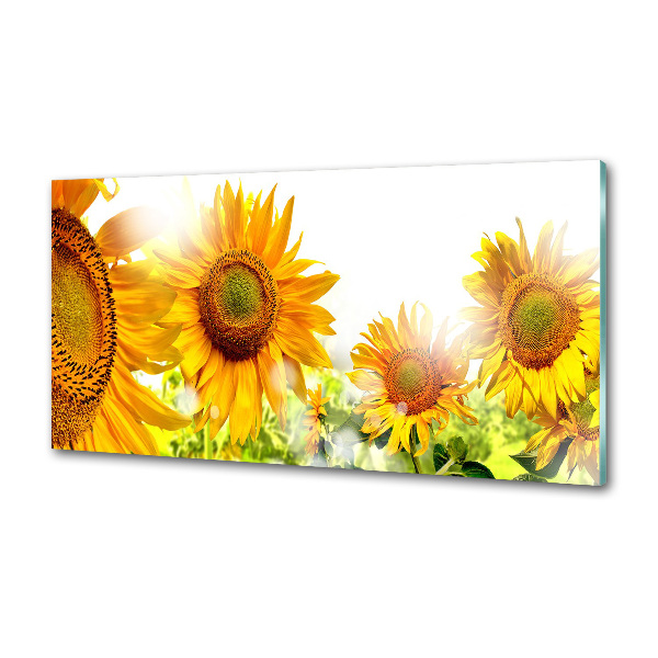 Küchen wandpaneel Sonnenblumen