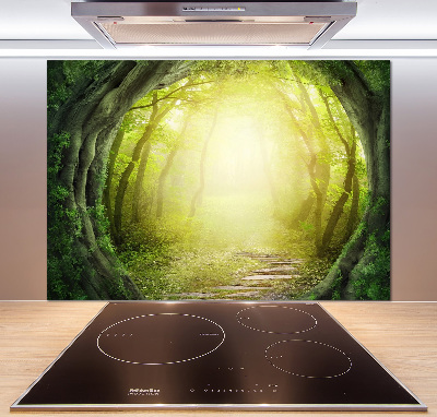 Glasrückwand für die küche Baumtunnel