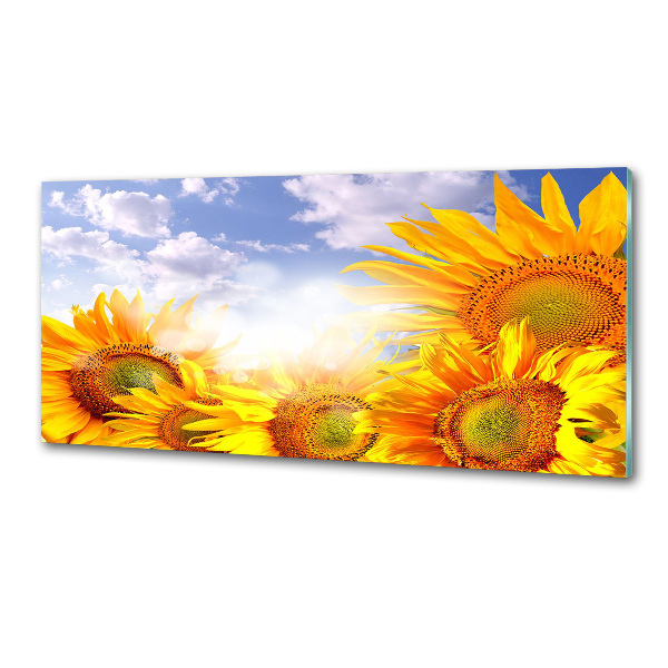 Platte für Küchenrückwand Sonnenblumen