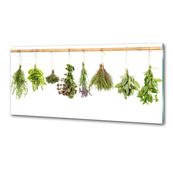 Glasrückwand für die küche Kräuter an einer Schnur