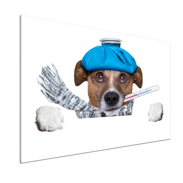 Küchen wandpaneel Kranker Hund