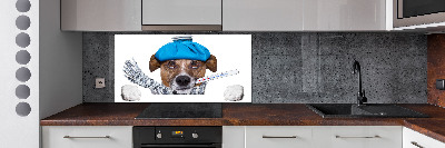 Küchen wandpaneel Kranker Hund