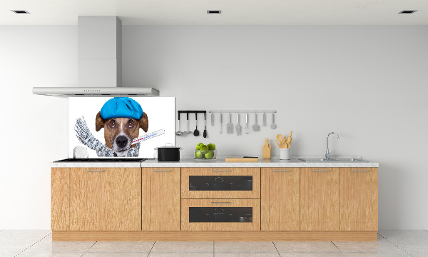 Küchen wandpaneel Kranker Hund