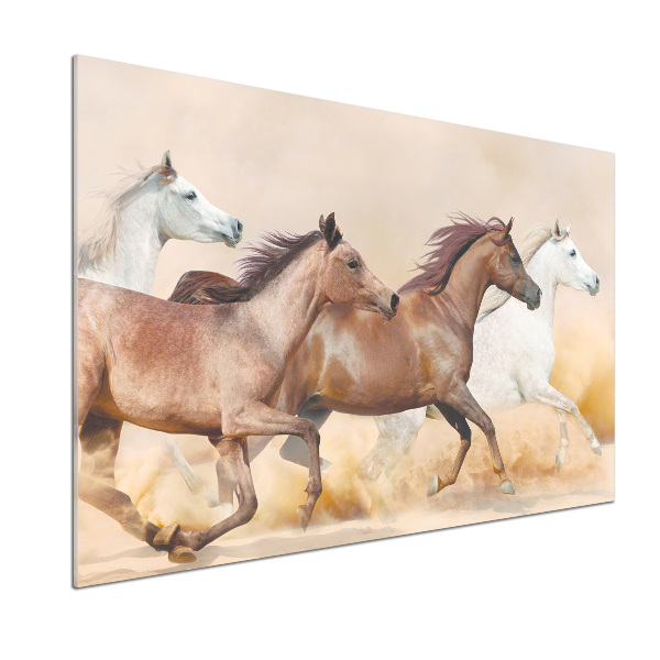 Glasrückwand für die küche Pferde im Galopp