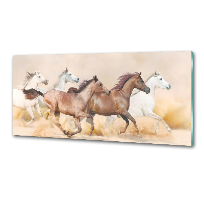 Glasrückwand für die küche Pferde im Galopp