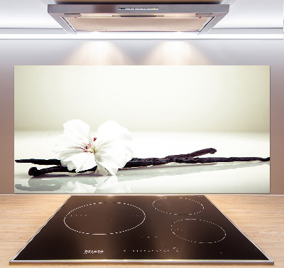 Glasrückwand für die küche Vanilleschote