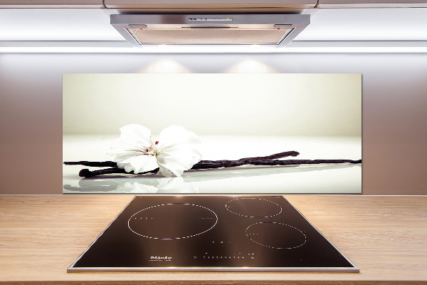 Glasrückwand für die küche Vanilleschote