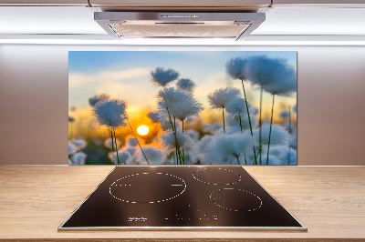 Küchen wandpaneel Wollgras