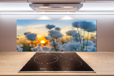 Küchen wandpaneel Wollgras