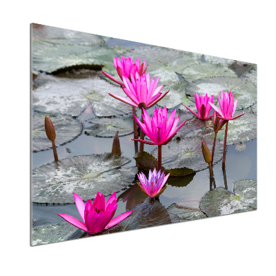 Platte für Küchenrückwand Lotosblume