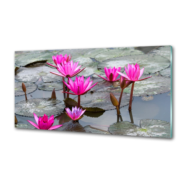 Platte für Küchenrückwand Lotosblume