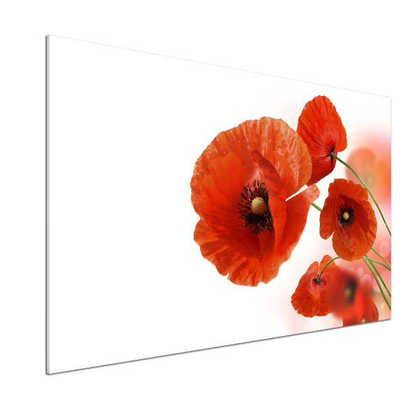 Küchen wandpaneel Mohnblumen