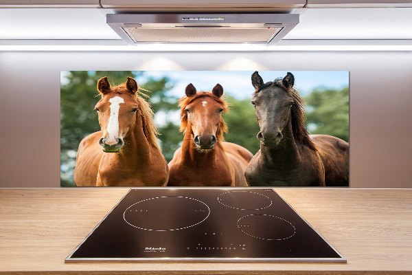 Glasrückwand für die küche Drei Pferde