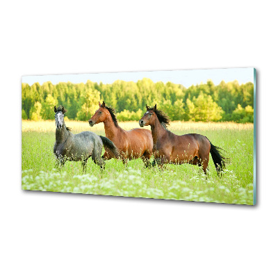 Platte für Küchenrückwand Pferde im Galopp