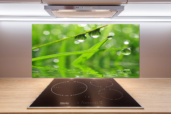 Glasrückwand für die küche Tropfen auf dem Gras