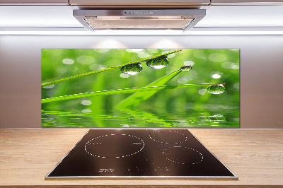 Glasrückwand für die küche Tropfen auf dem Gras