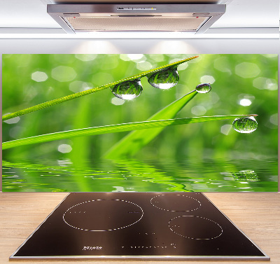 Glasrückwand für die küche Tropfen auf dem Gras