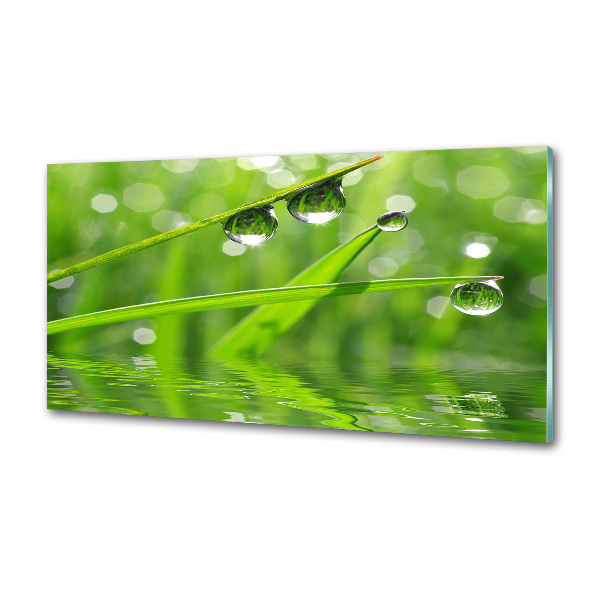 Glasrückwand für die küche Tropfen auf dem Gras