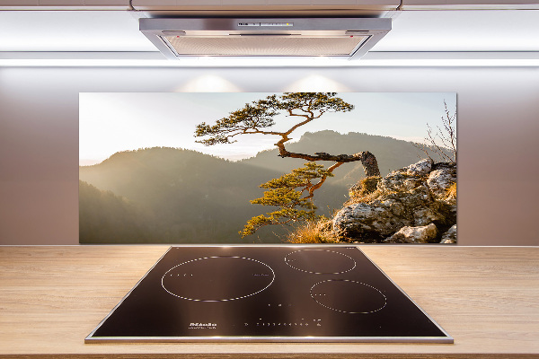 Küchen wandpaneel Sokolica Pieniny