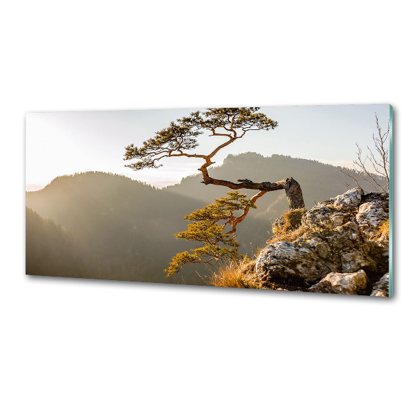 Küchen wandpaneel Sokolica Pieniny