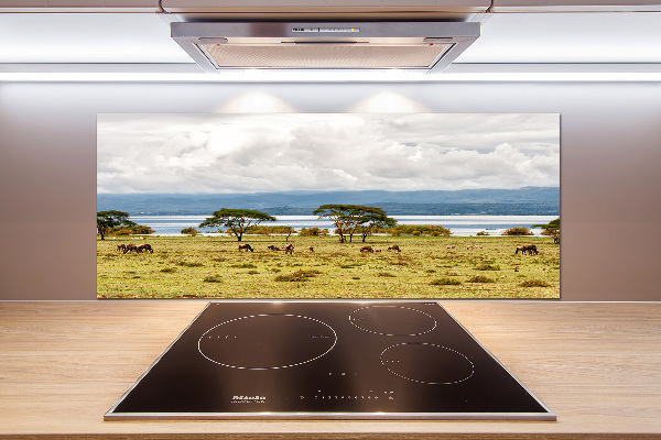 Platte für Küchenrückwand Naivasha-See