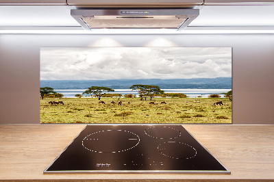 Platte für Küchenrückwand Naivasha-See