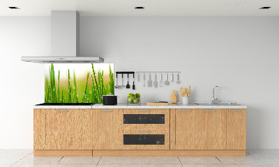 Platte für Küchenrückwand Gras