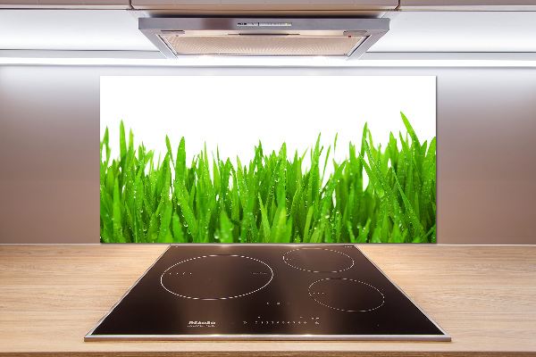 Glasrückwand für die küche Gras