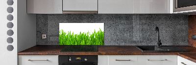 Glasrückwand für die küche Gras