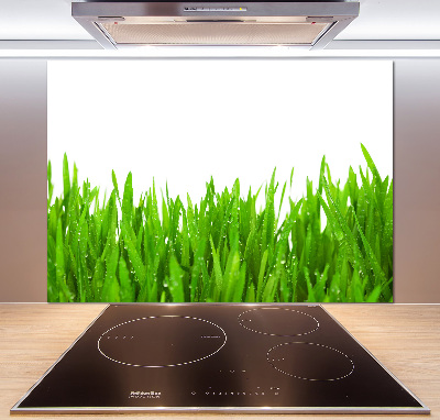 Glasrückwand für die küche Gras