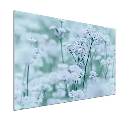 Platte für Küchenrückwand Großer Mantelkraut