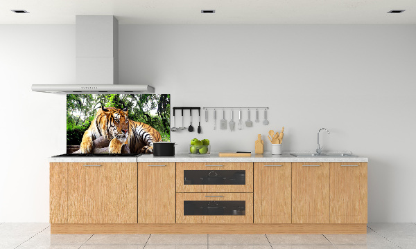 Küchen wandpaneel Tiger auf einem Felsen