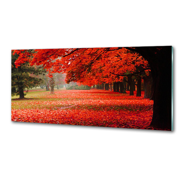 Glasrückwand für die küche Bäume im Herbst