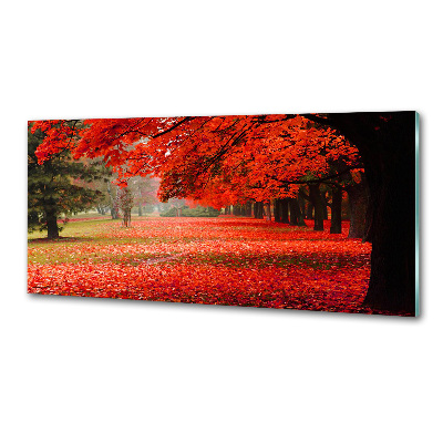 Glasrückwand für die küche Bäume im Herbst