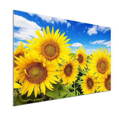 Glasrückwand für die küche Sonnenblumen