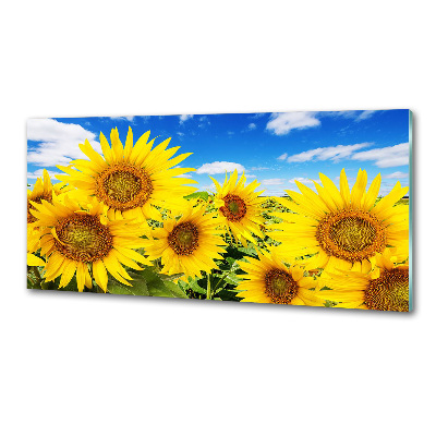 Glasrückwand für die küche Sonnenblumen