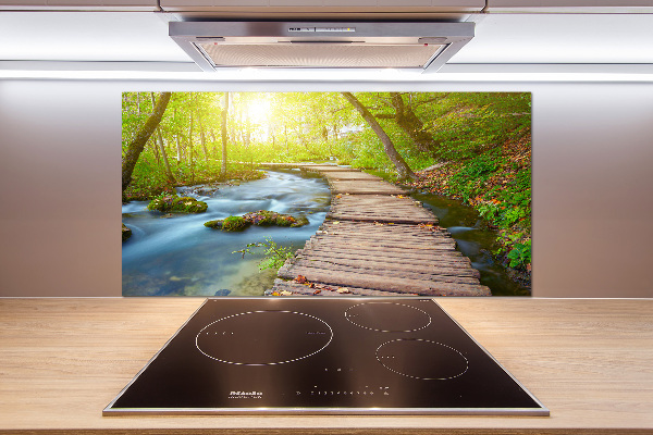 Küchen wandpaneel Pfad im Wald