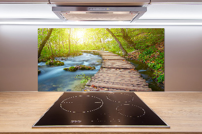 Küchen wandpaneel Pfad im Wald