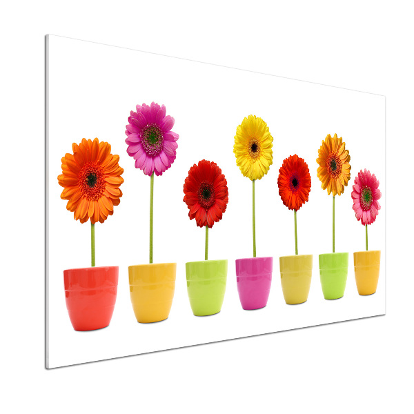 Glasrückwand für die küche Bunte Gerbera