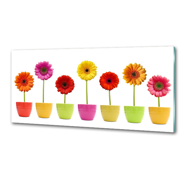 Glasrückwand für die küche Bunte Gerbera