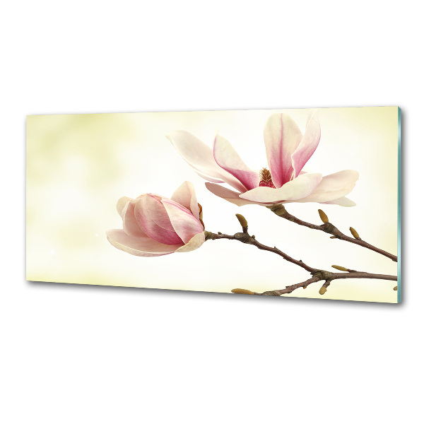 Glasrückwand für die küche Magnolie
