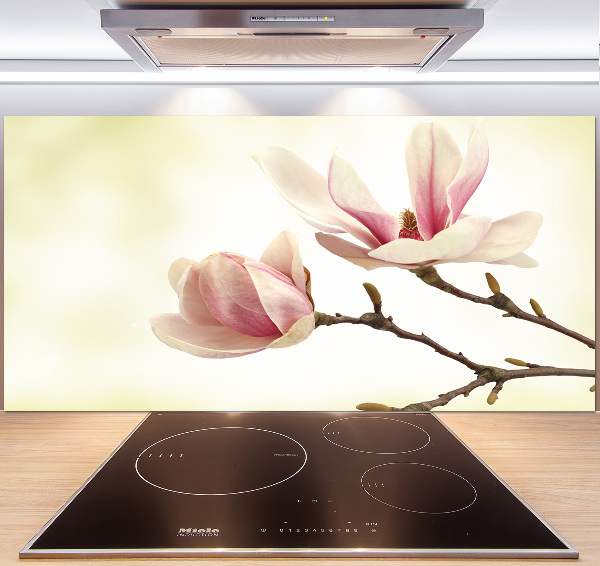 Glasrückwand für die küche Magnolie