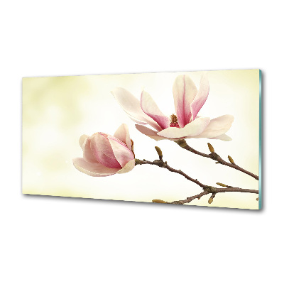 Glasrückwand für die küche Magnolie