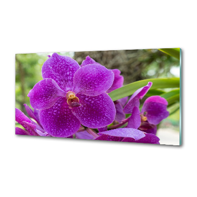 Küchen wandpaneel Orchidee