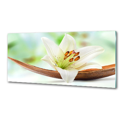 Glasrückwand für die küche Lilie