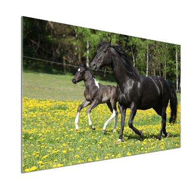 Platte für Küchenrückwand Stute mit Fohlen